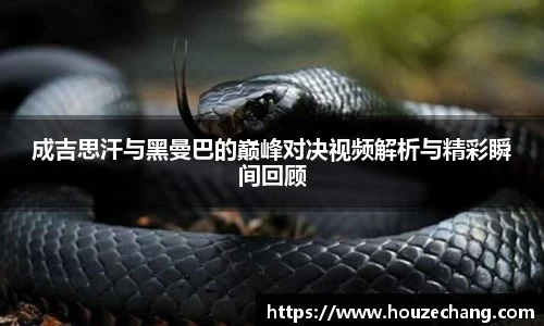 成吉思汗与黑曼巴的巅峰对决视频解析与精彩瞬间回顾
