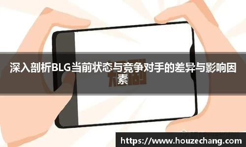 深入剖析BLG当前状态与竞争对手的差异与影响因素